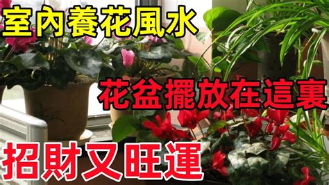 家樂花風水